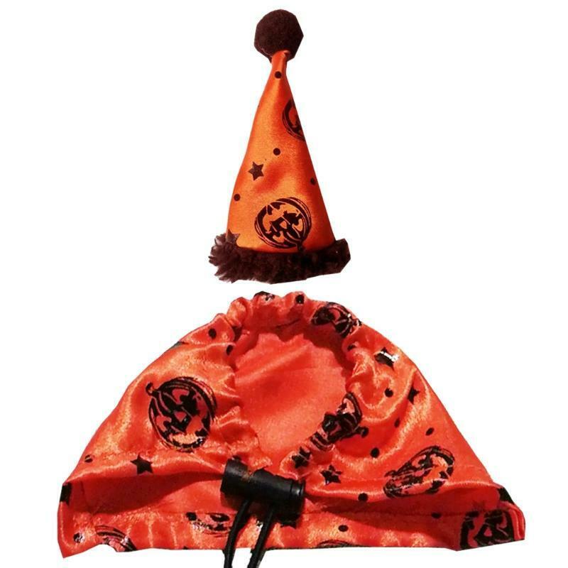 Bearded Dragon Costume Set Orange Hat and Cloak Lizard Clothes Resizable