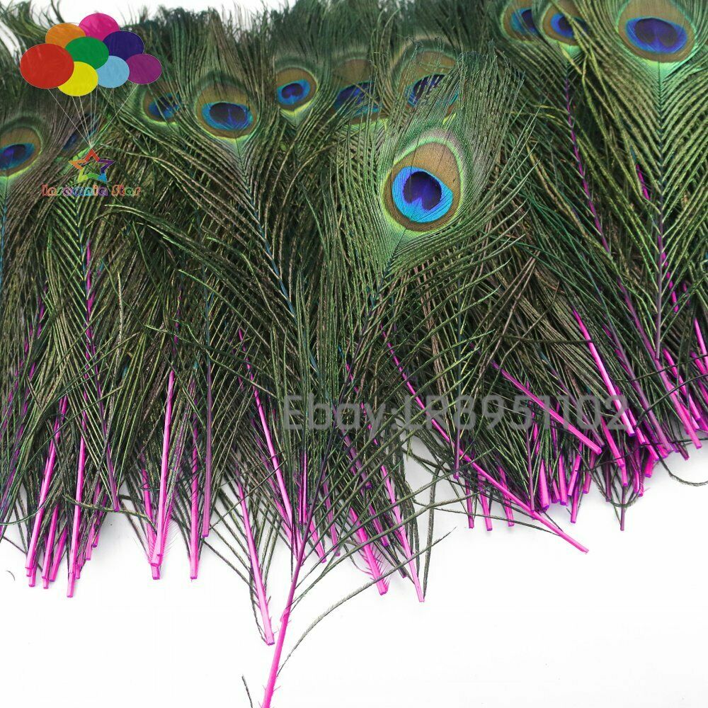 100 Pcs Dyeing Rose red Peacock Feathers For Crafts Length 25-30CM 10-12inch Diy