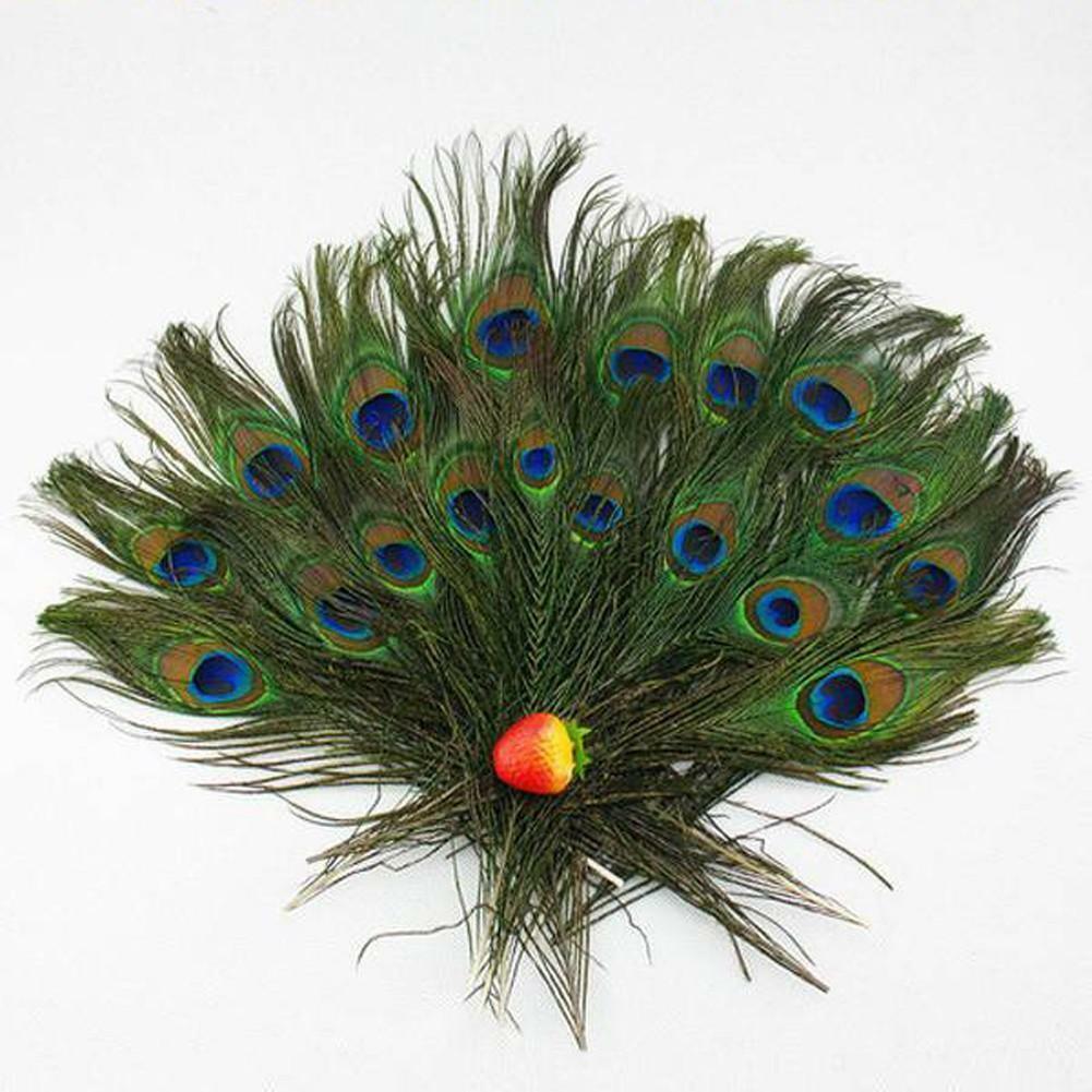10Pcs PEACOCK TAIL FEATHERS Feather NATURAL 26cm LONG Bouquet MILLINERY CRAFTS
