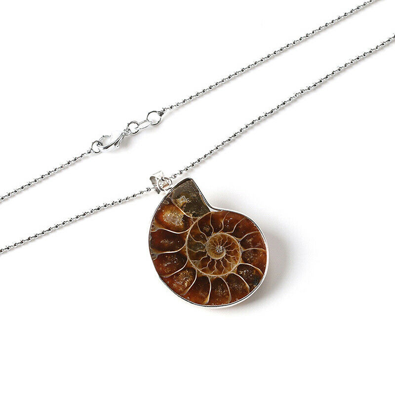 Natural Stones Pendants Ammonite Fossils Seashell Snail Conch Necklace Je.l8