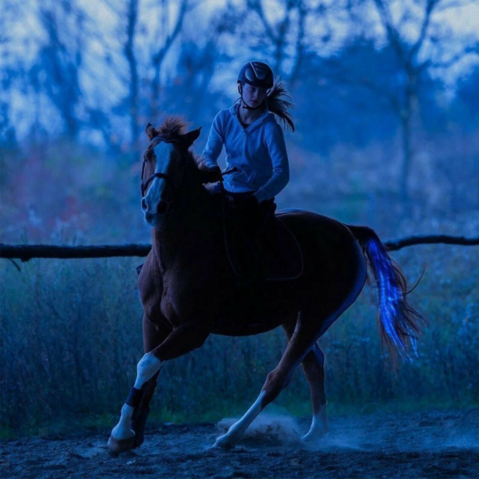 Rechargeable Horse Tail Light USB Lamp Ponytail Horse Harness 5-Strip Lamps