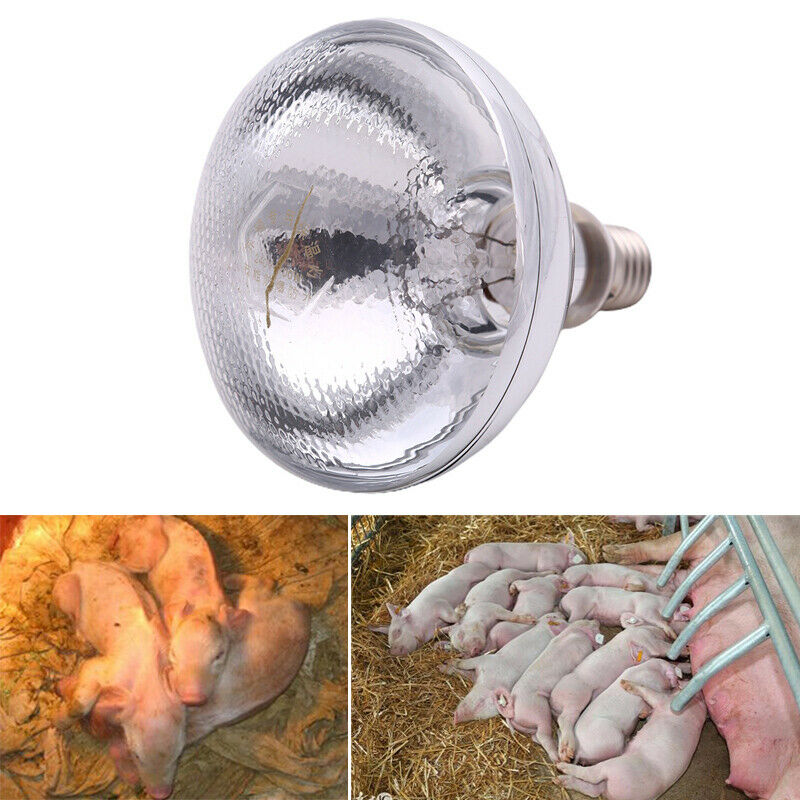 Pet Warm Light Water Proof Infrared Heating Lamps Bulb Pet Warm Light Bulb 2BDA