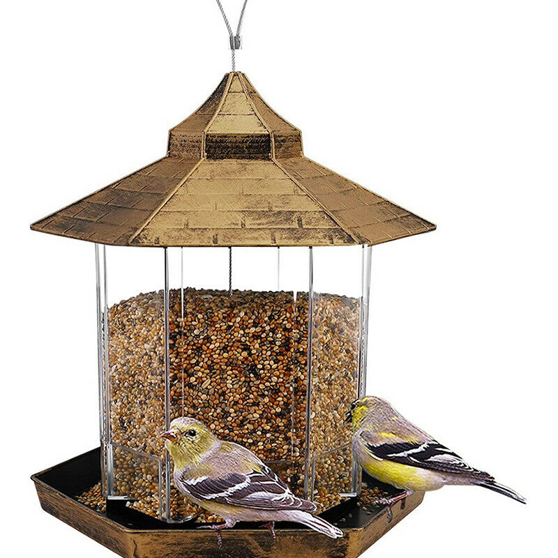 Bird Feeder Bottle Flower Shape Sensation  Coneflower Bird FeederB-qkM TL