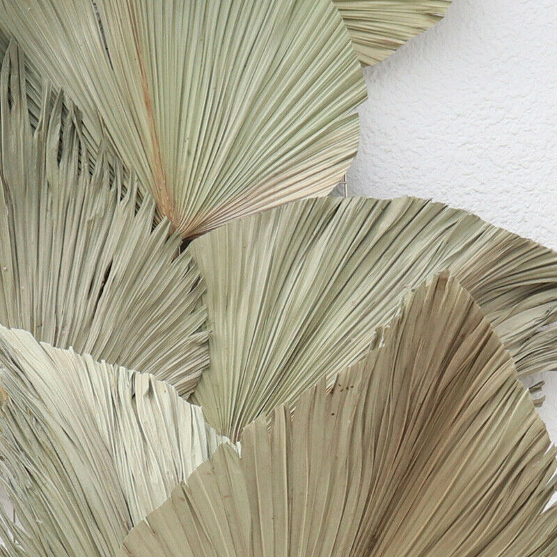 Natural Dried Flower Palm Leaf Fan Plant Party Wall Hanging Wedding Decor DIY