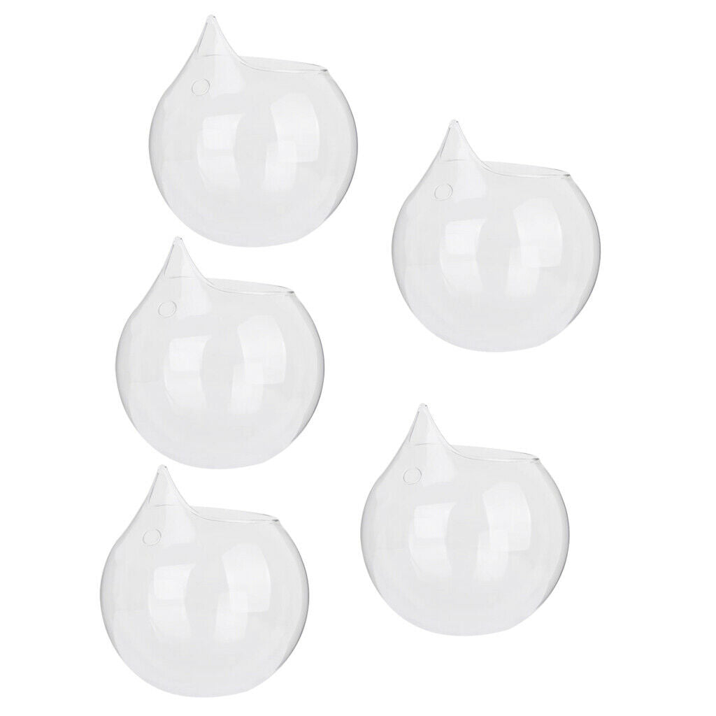 5 Pack Wall Hanging Vase Glass Flower Plant Terrarium Planters, Transparent
