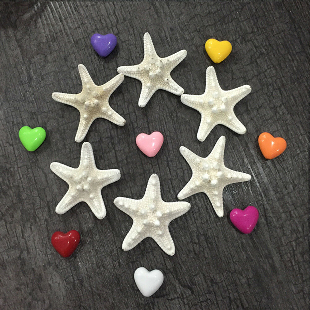 10pcs Natural SEA SHELL Starfish Craft DIY Decorate Gift Kit Wedding Props Decor