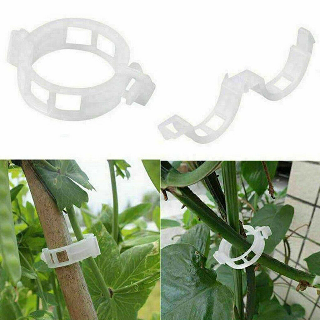 200pcs Plastic Plant Support Clips Cucumber Garden Planting Trellis Clips