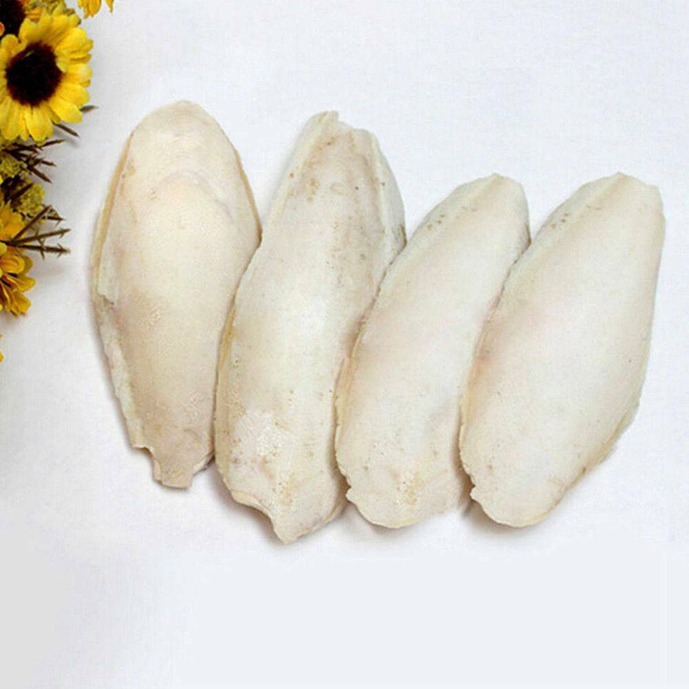 1Bag Nature Stone Cuttlefish Bone 4-5" Cuttle Fish For Reptiles Birds Tortoise !