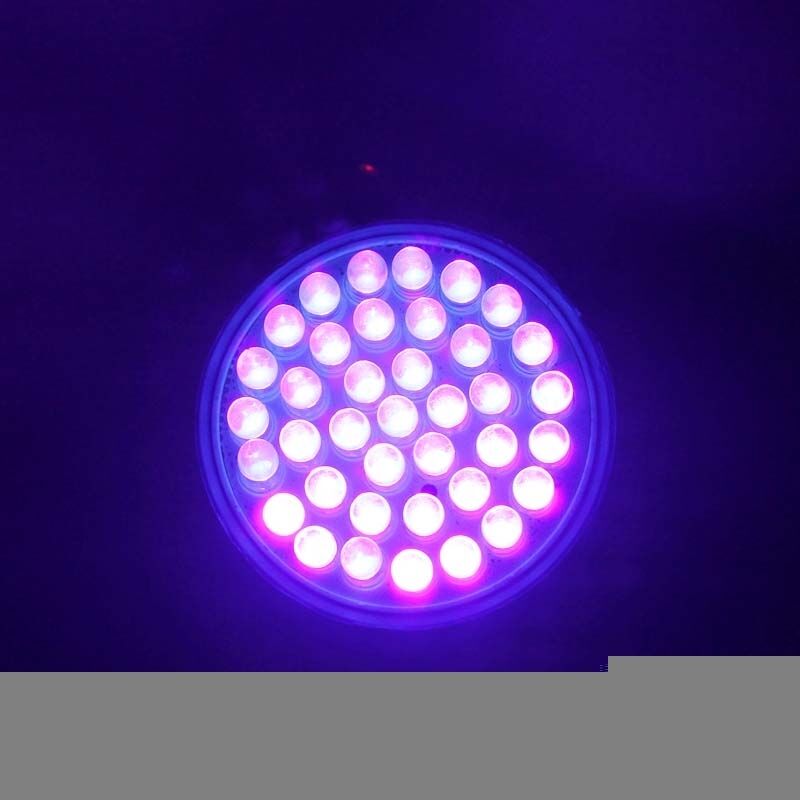 Ultra Bright E27 38 LED UV Ultraviolet Purple Light GLOW Lamp Garden Bulb Lamp