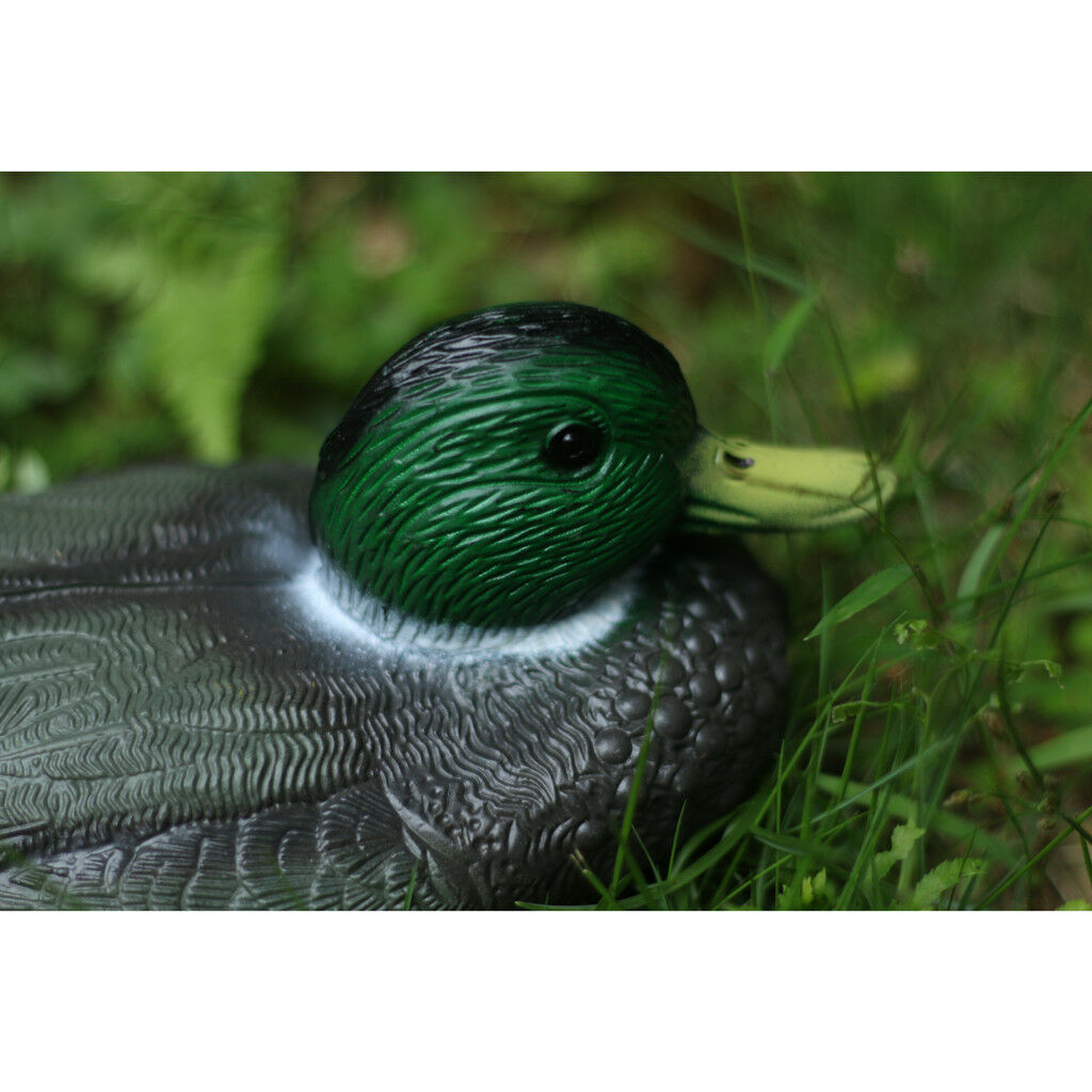2x Lifesize Swan&Duck Decoy Pond Decoration Plastic Floating Ornamental Bird