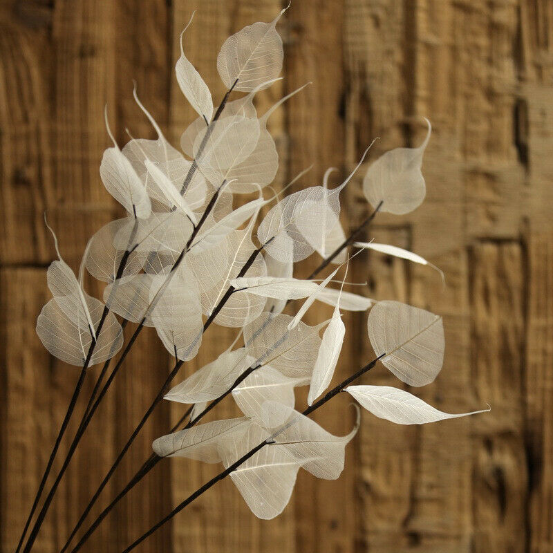 55cm Natural white Bodhi leaf vein Branch dried Flower wedding flower P1 TwJ.DD