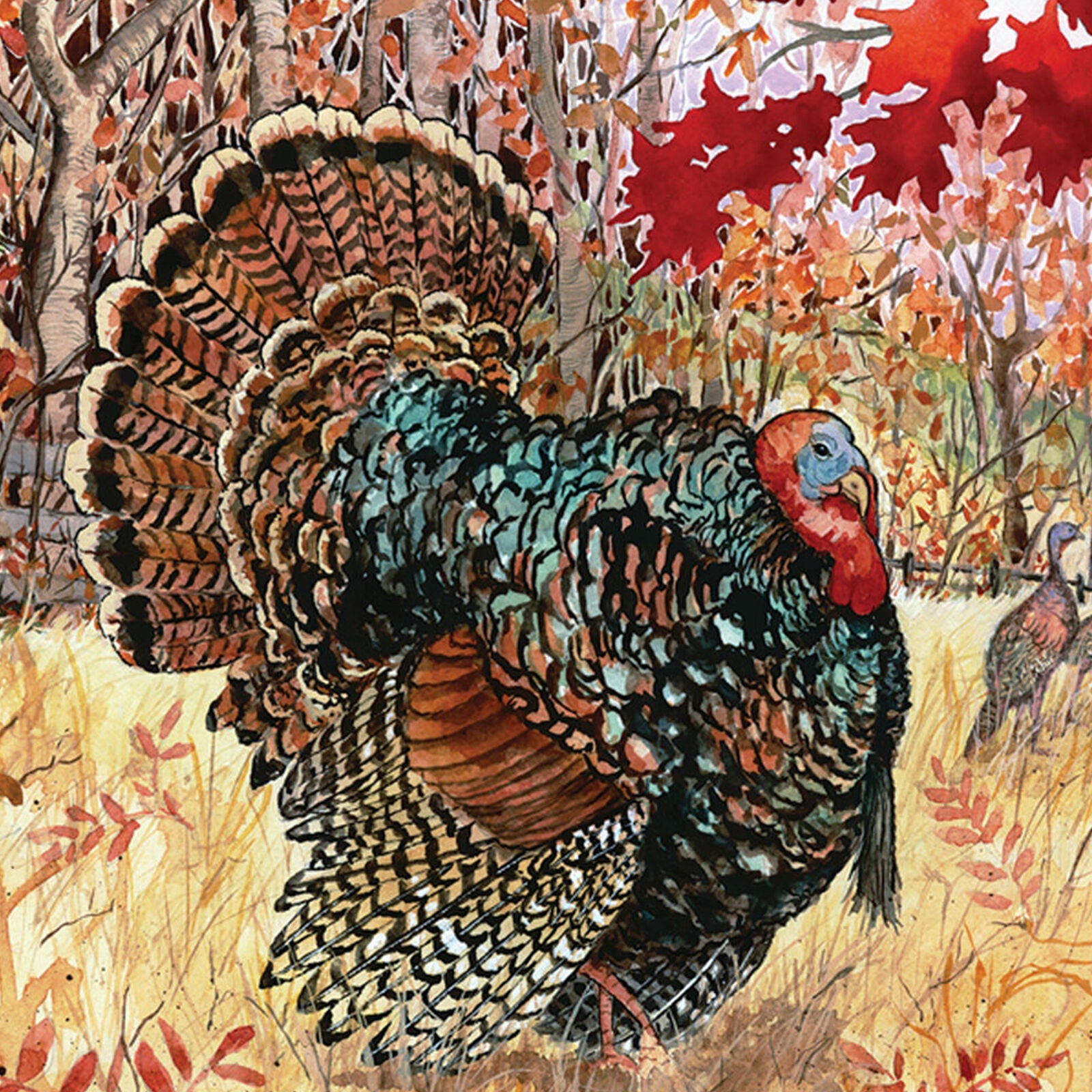 Toland Wild Turkey 28 x 40 Fall Autumn Bird Thankful Thanksgiving House Flag New