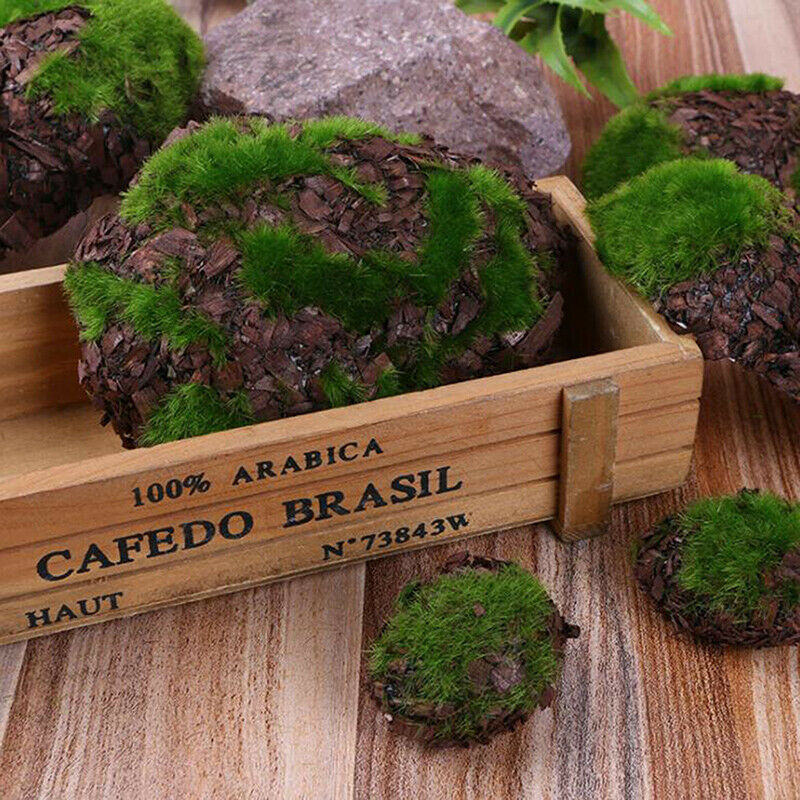 6Pcs Artificial Moss Stone Grass Green Plant Micro Landscape Garden Decor.huCHA