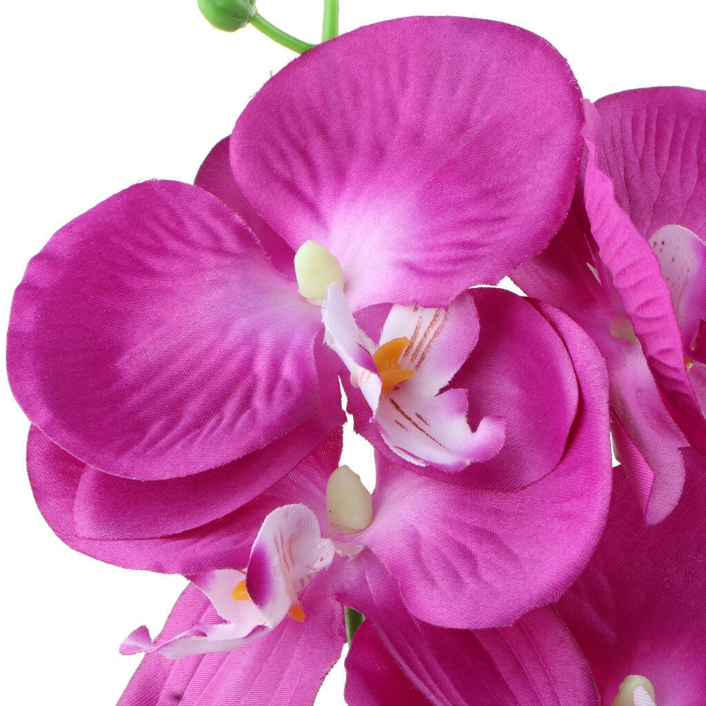 93cm Long Stem Artificial Silk Phalaenopsis Butterfly Orchid Flower Purple