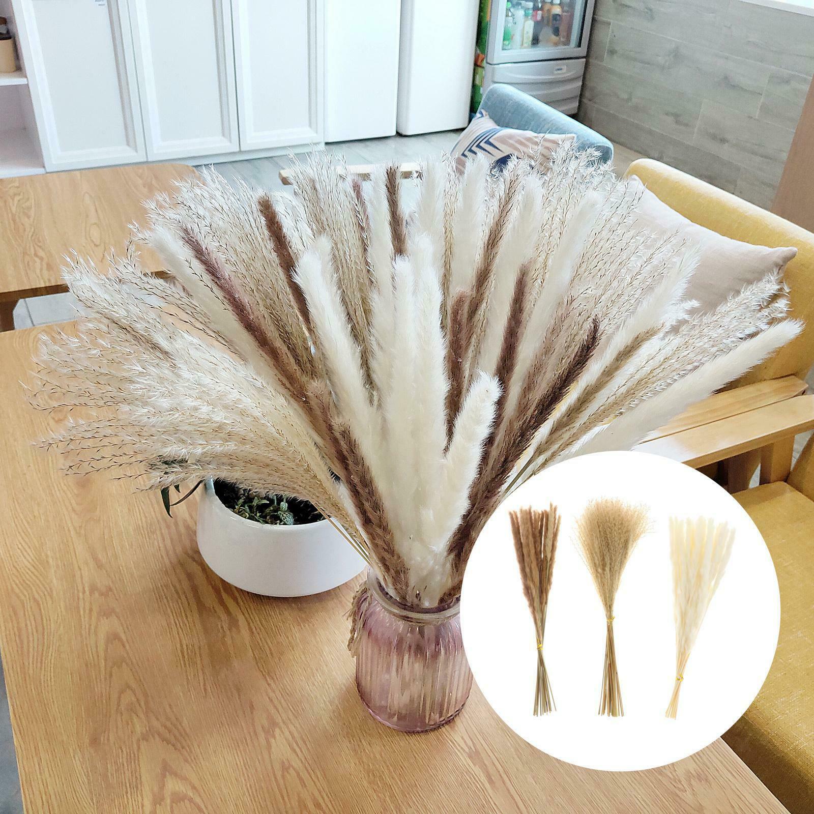 Pampas Grass Natural Dried Pampas Grass Decor for Home Arrangements, Pampas