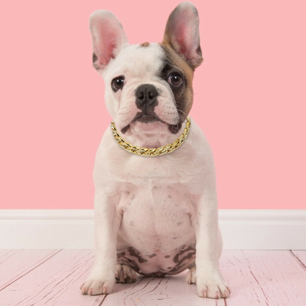 French Bulldog Dog Stainless Steel Necklace Bling Pet Puppy Jewelry Accessories