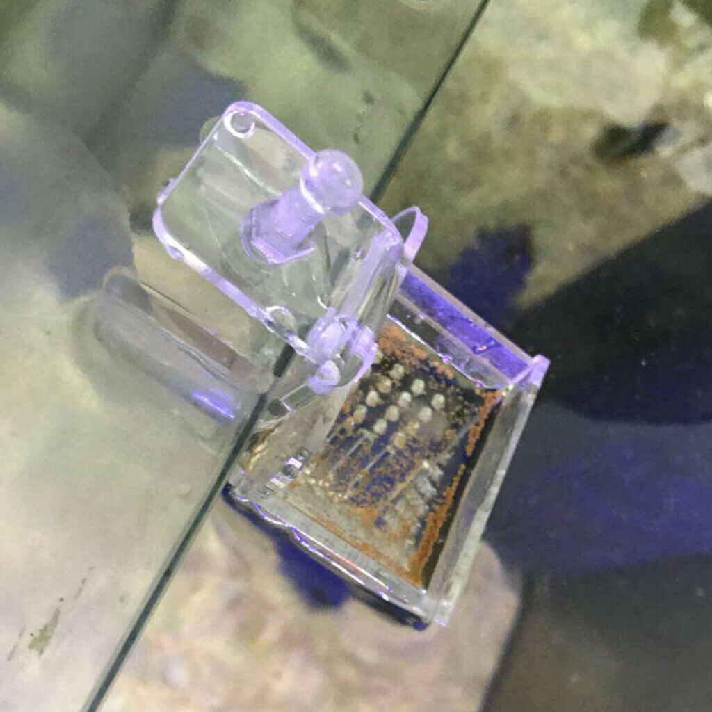 Aquarium Fish Feeder Red Worms Feeding Acrylic Shrimp Fish Food Container