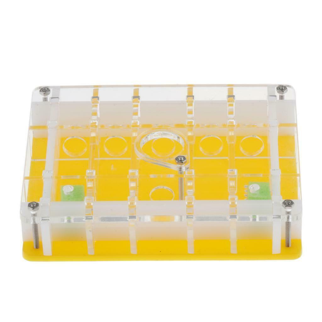 2pcs/set Ant Housing Nest Insect Cage Educational Formicarium for Live Ants