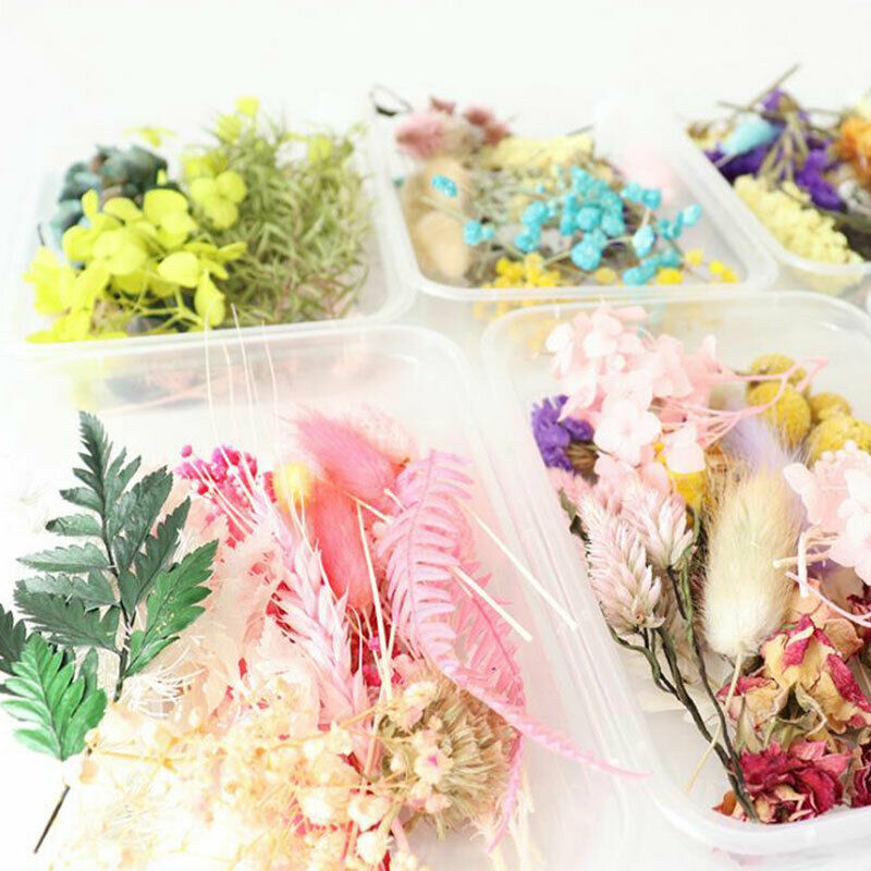 1 Box Dried Flower Real Dry Plants For Aromatherapy Candle Craft DIY Accessor Rf