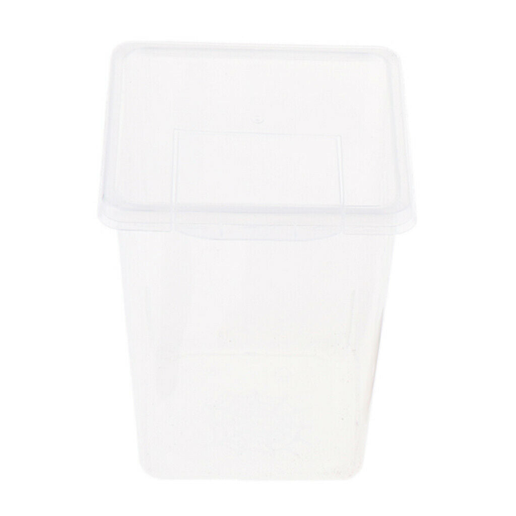 Plastic Insect Turtle Spider Habitat Feeding Box Container Tank 8x8x11cm