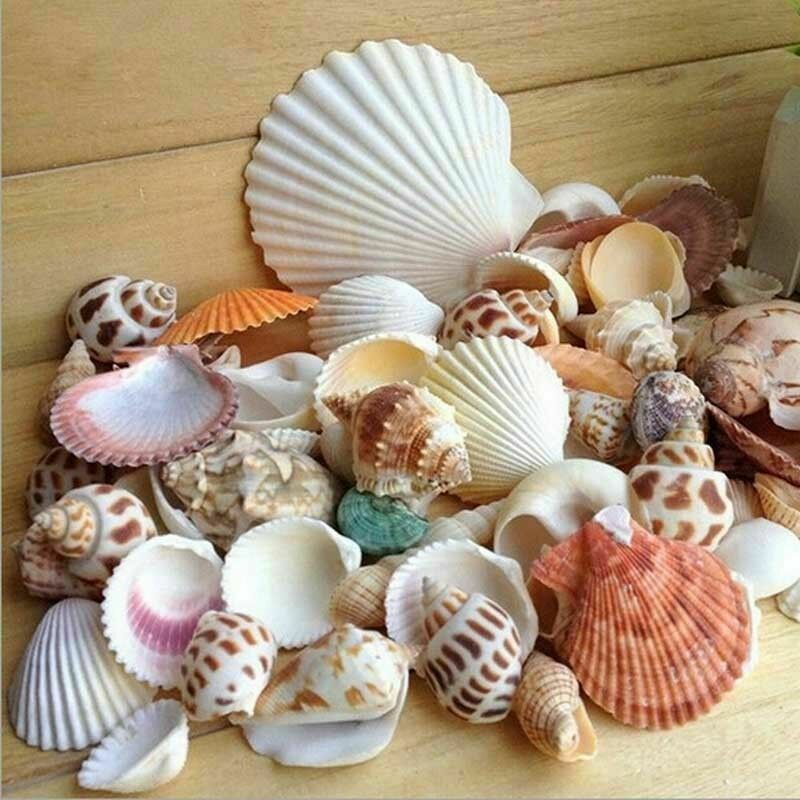 Natural mussel mix mussels SeaShells shell maritime decoration handicrafts 100g