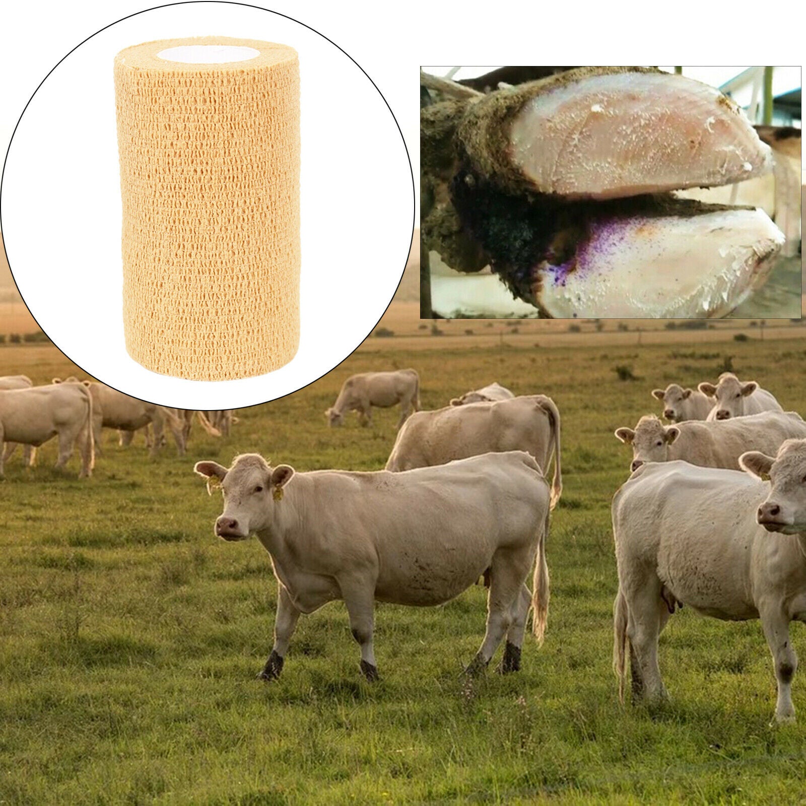 Gauze Rolls Non-Woven Stretched Cohesive Bandage for Dogs Animals 10x450cm