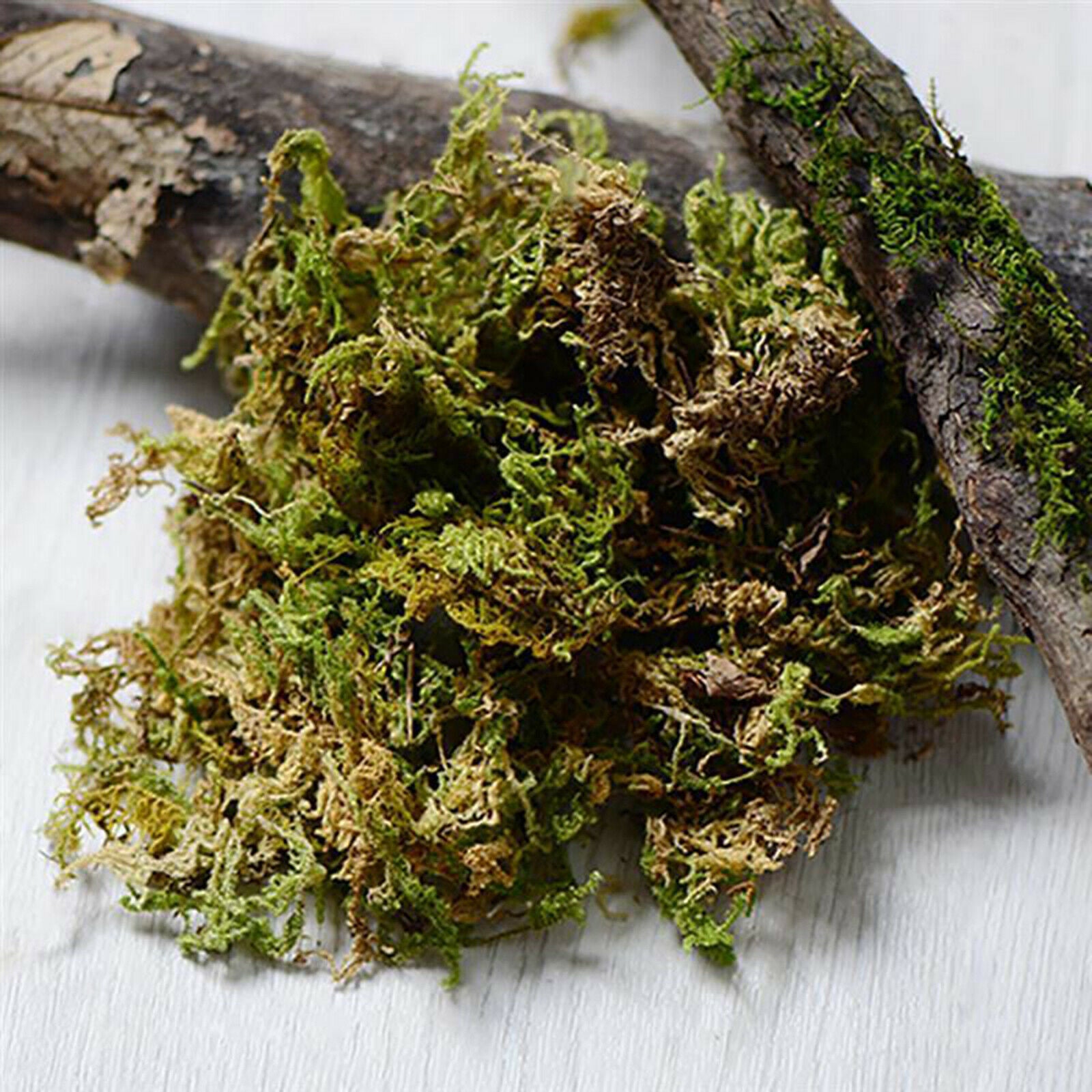 100g Simulated Keep Dry Green Moss Green Plant Decoration Potted Plants Arts