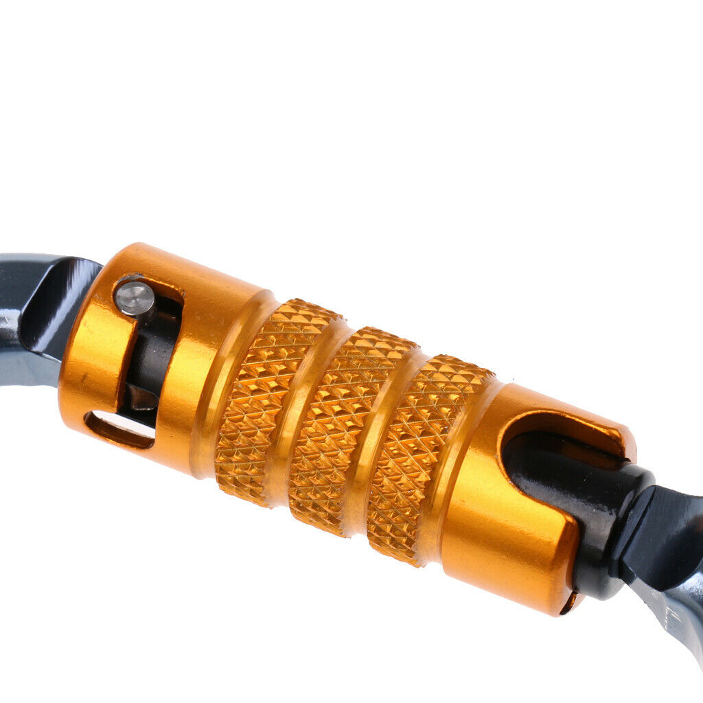 2Pcs D Shape Carabiner Auto Locking Spring Gate Keychain Karabiner for Gears