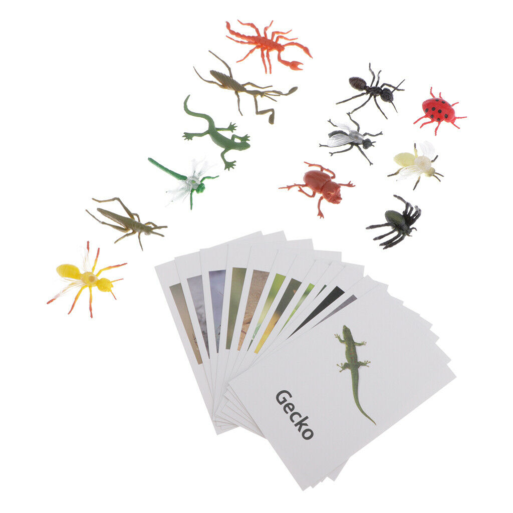 12pcs Insect Animal Match, with Learning Language Kids Cognitive Skills