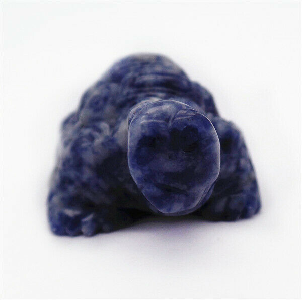 50x33x24mm Natural Blue Sodalite Carved Sea Turtle Home Decoration Statue HH7940