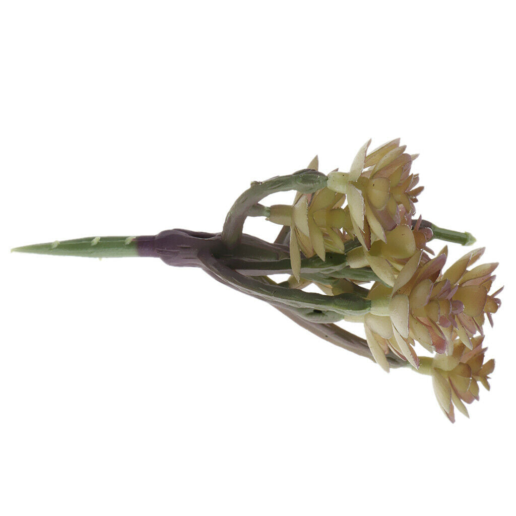 2 Pieces.  Cactus Succulent Plant Artificial Plant Decor