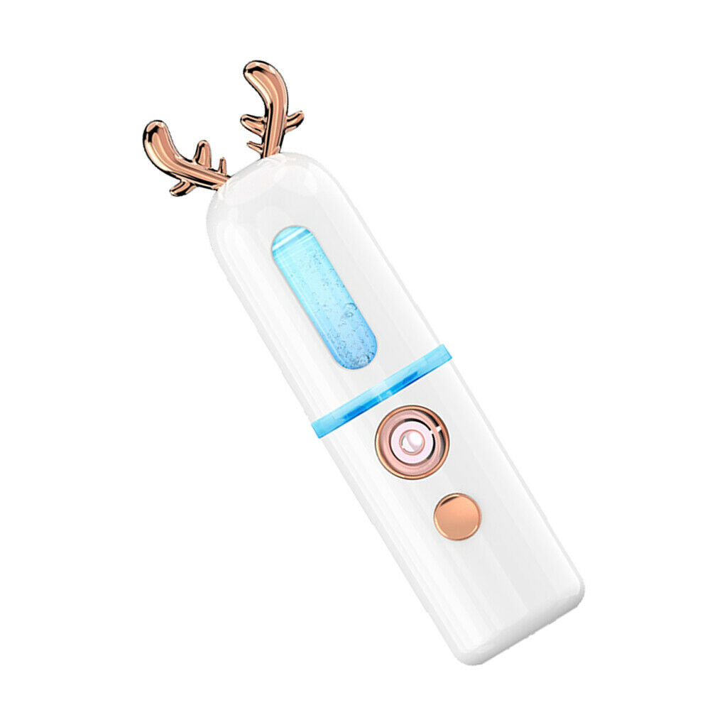 2 Packs USB Facial Nano Spray Hydrating Spraying Machine Moisturizing Tool