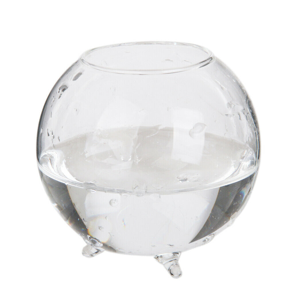 2Pieces Glass Hydroponic Vase Micro Landscape DIY Bottle Terrarium Container