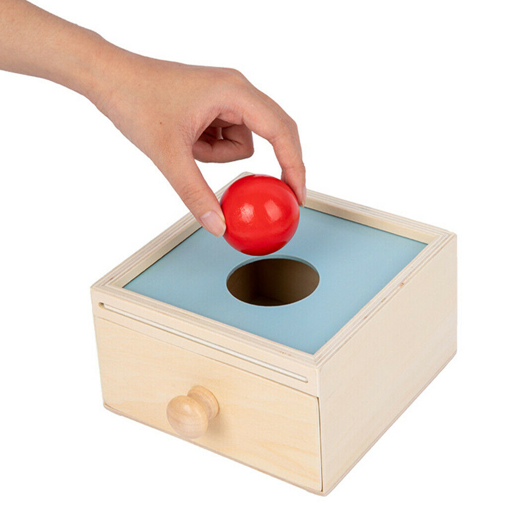 Toddler Wooden Toys, Montessori Toys Baby Educational Toys Carrot Sorting Game,