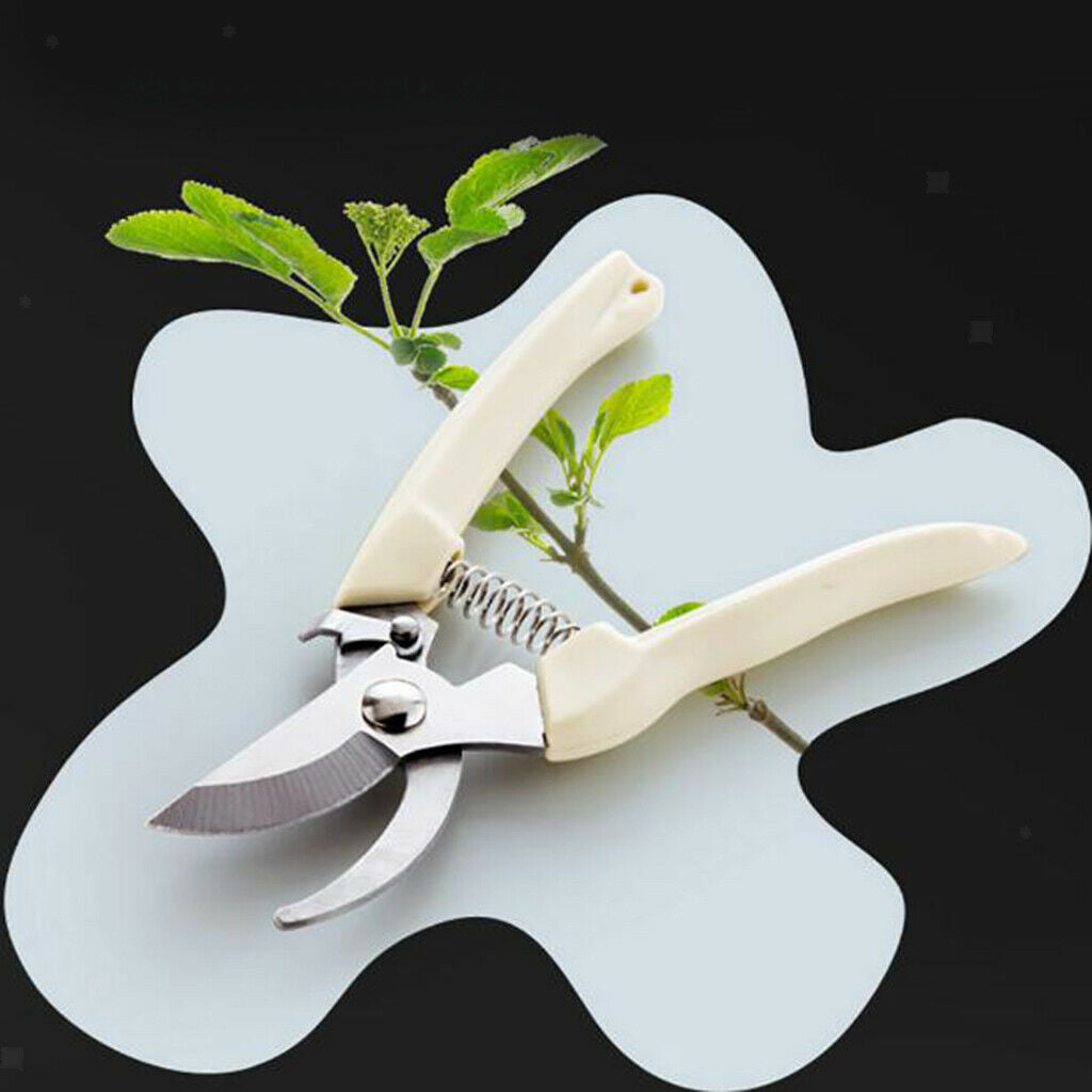 1x Stainless Pruning Cutting Horticultural Scissors