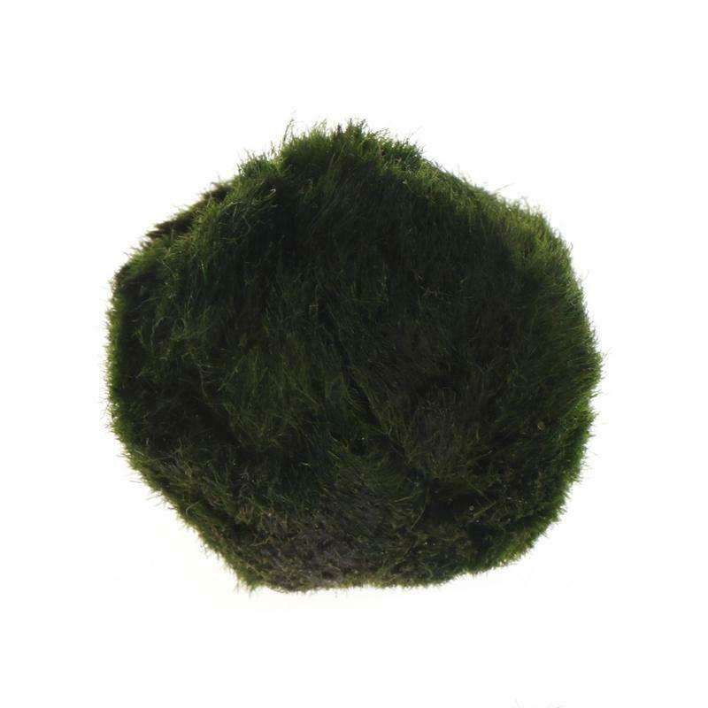 Artificial Moss Ball Fish Tank Aquarium Decor Ornament 2.5-4.5cm Natural Plants