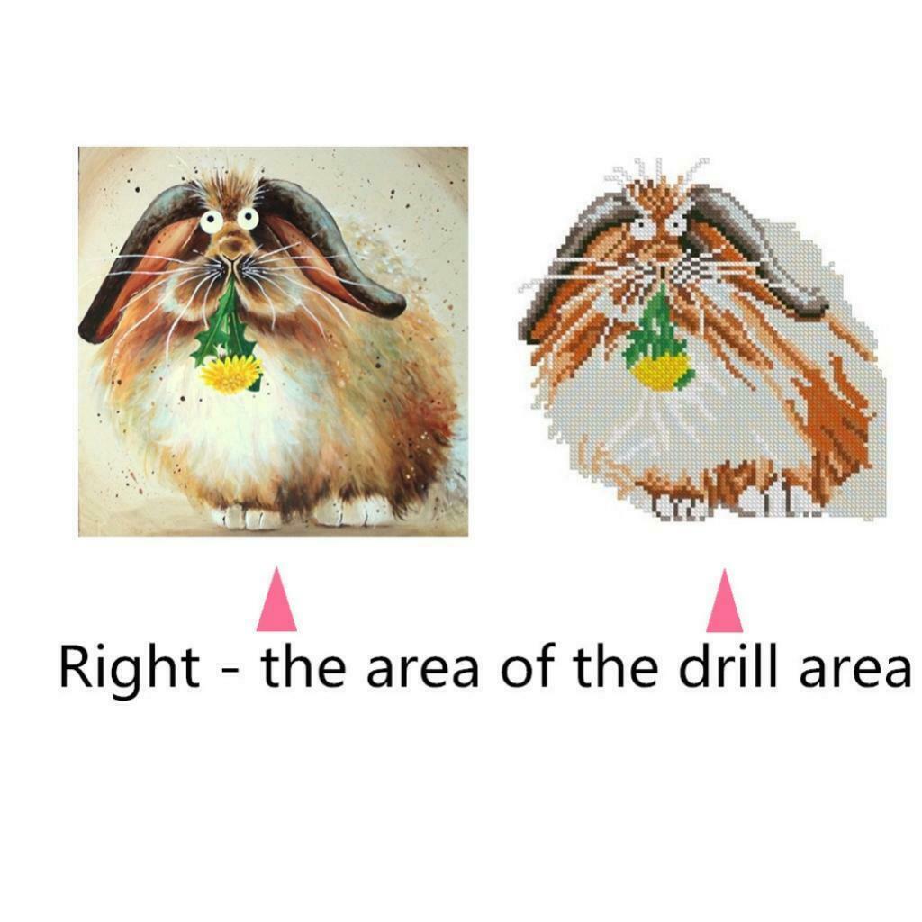 5D DIY Diamond Painting Kit Cross Craft Stitch Art Decor Animal Cat