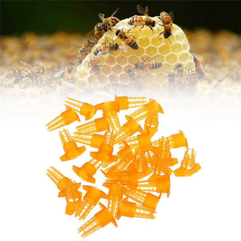 25Pcs Beekeeping Tools Yellow Plastic Bee Queen Cage Protective Cover Protector
