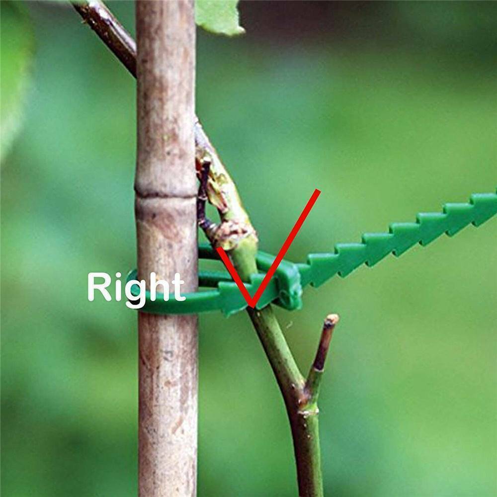50Pc Reusable Garden Plastic Plant Cable Ties Grow Kits Tree Climbing Support ~~