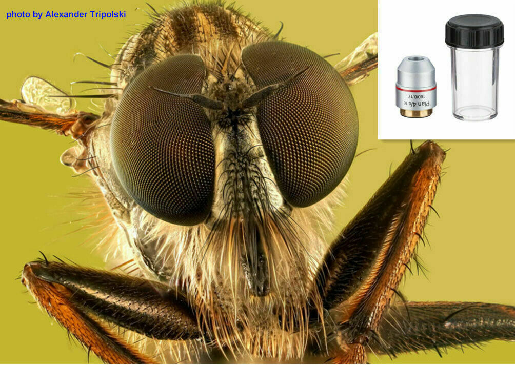Universal RMS Thread 4X PLAN Objective Lens 160/0.17 for Biological Microscope