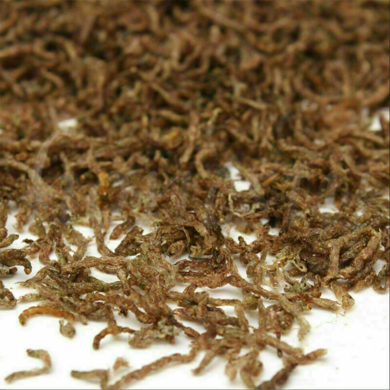 10g Freeze Dried Blood Worm Fresh Tropical Fish Discus Tetra Food Feeding