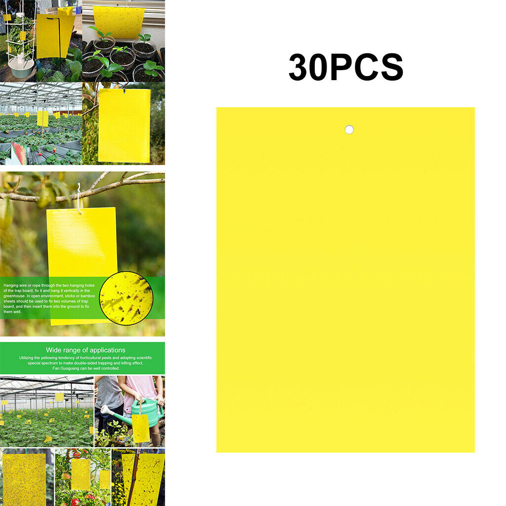Double-Sided Sticky Traps 6x4 Inch for Whiteflies Aphids Thrips 30pcs