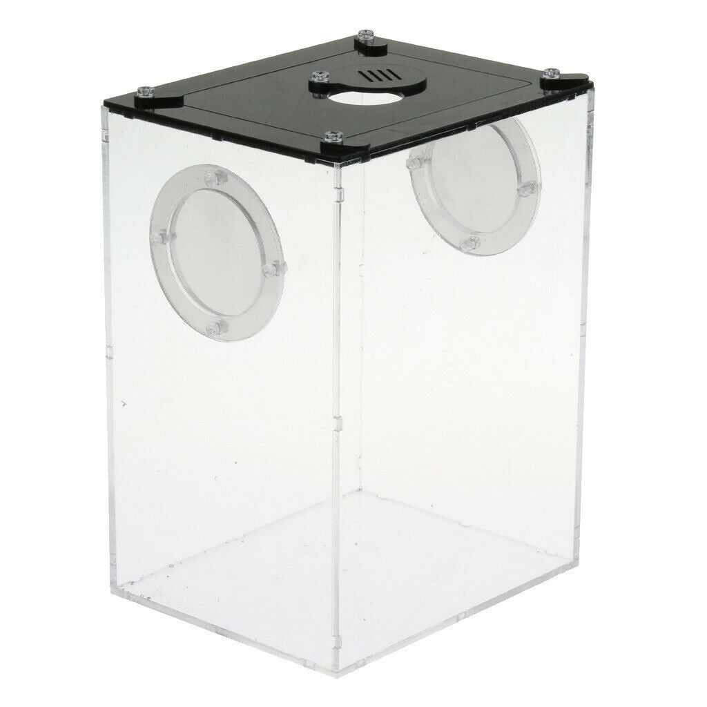 Acrylic Reptile Terrariums Plant Feeding Tank Lizard Breeding Box Reptiles
