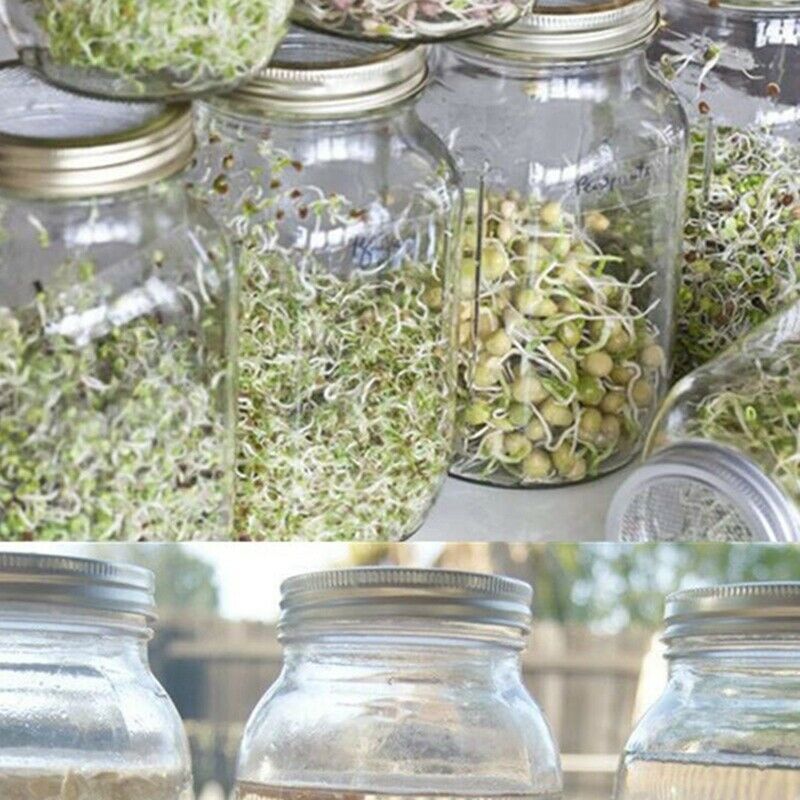 Set Of 3 Stainless Steel Sprouting Jar Lid Kit For Superb Ventilation Fit For U6