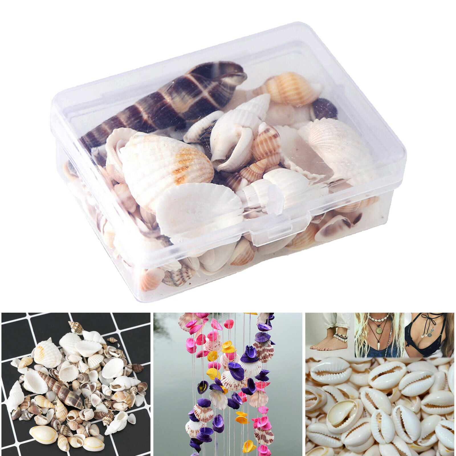 Natural Sea Shell Shells Beach Shells for Aquarium Fish