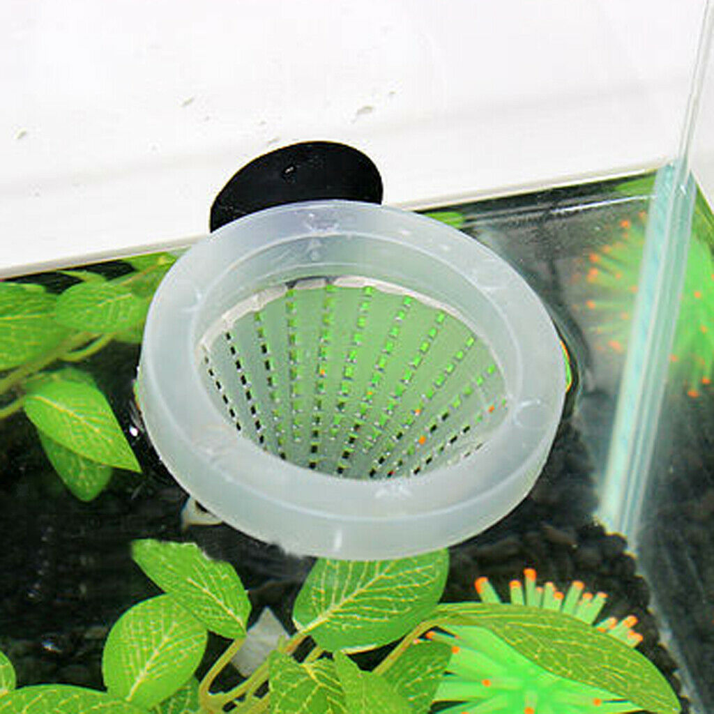 1x Aquarium Red Worm Feeder Cone Feeding for Fish Tank Angel Fish Discus
