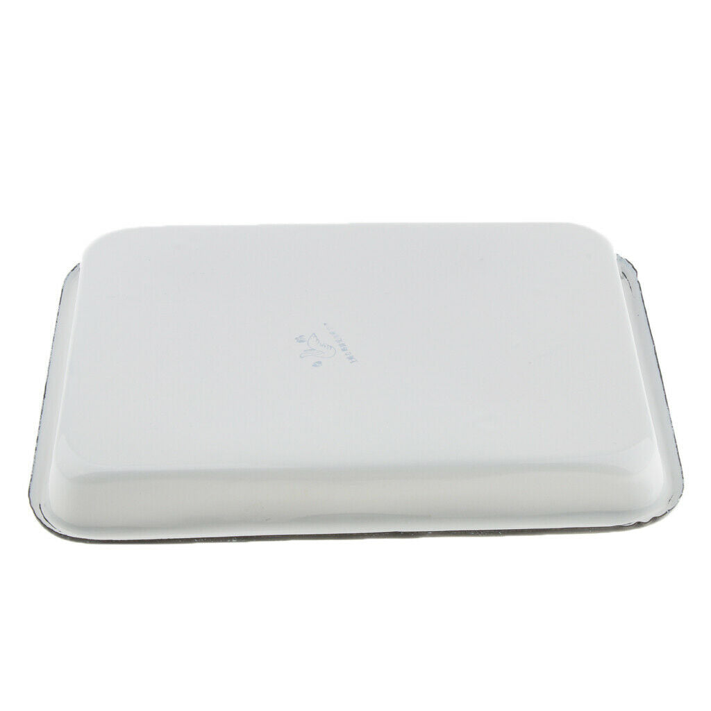 2X Laboratory  Instrument Disinfection Sterilization Tray Enamel 20x30cm