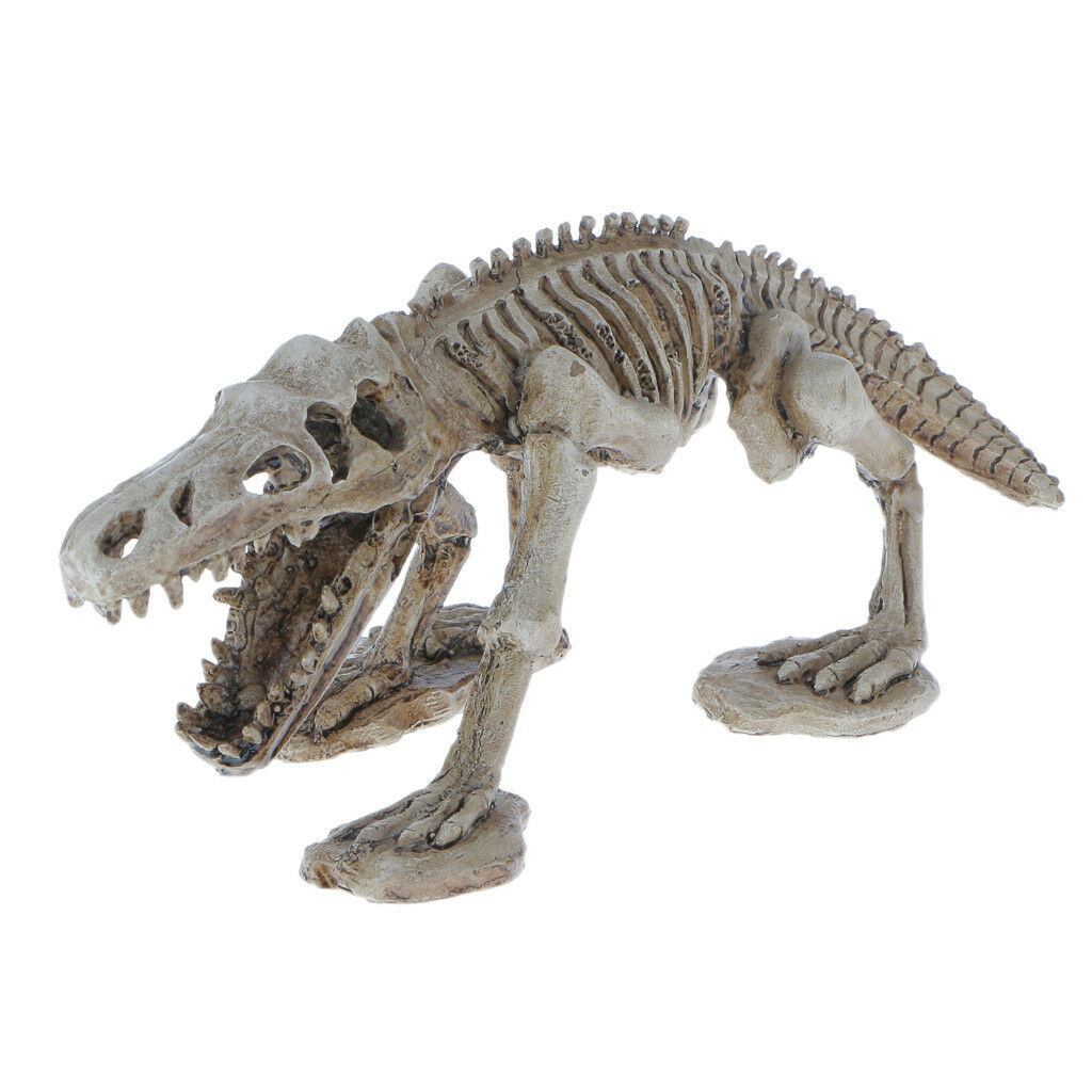 Decorative Ornament for Reptile Terrarium Vivarium Decor#6 Dinosaur Skeleton