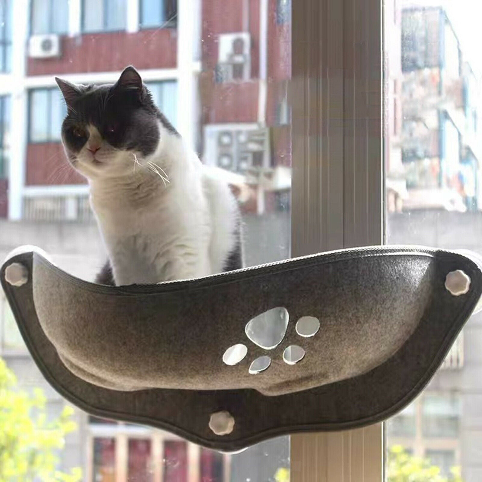 2Pcs Cozy Cat Hammock Window Felt Bed Suction Cup Pet Safety Perch Pad Seat