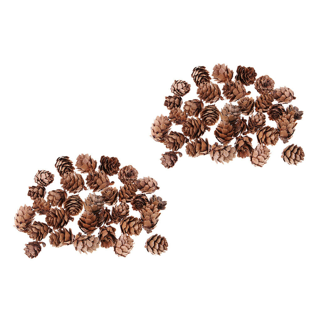 60pcs Pine Cones Premium Pinecones Wreath Garland DIY Embellishments Decors